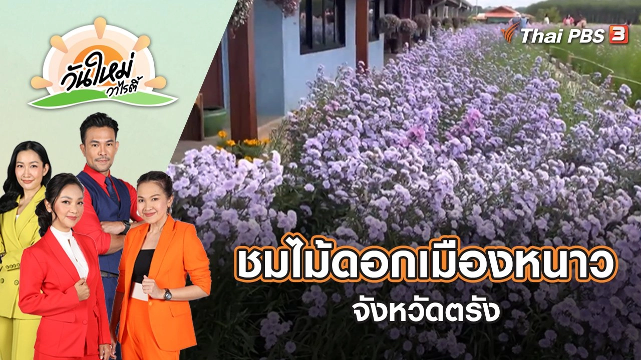 ชมไม้ดอกเมืองหนาว จังหวัดตรัง | วันใหม่วาไรตี้ | 28 ต.ค. 65