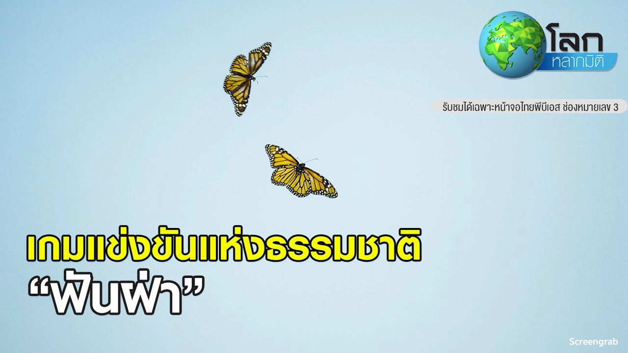 เกมแข่งขันแห่งธรรมชาติ ตอน ฟันฝ่า