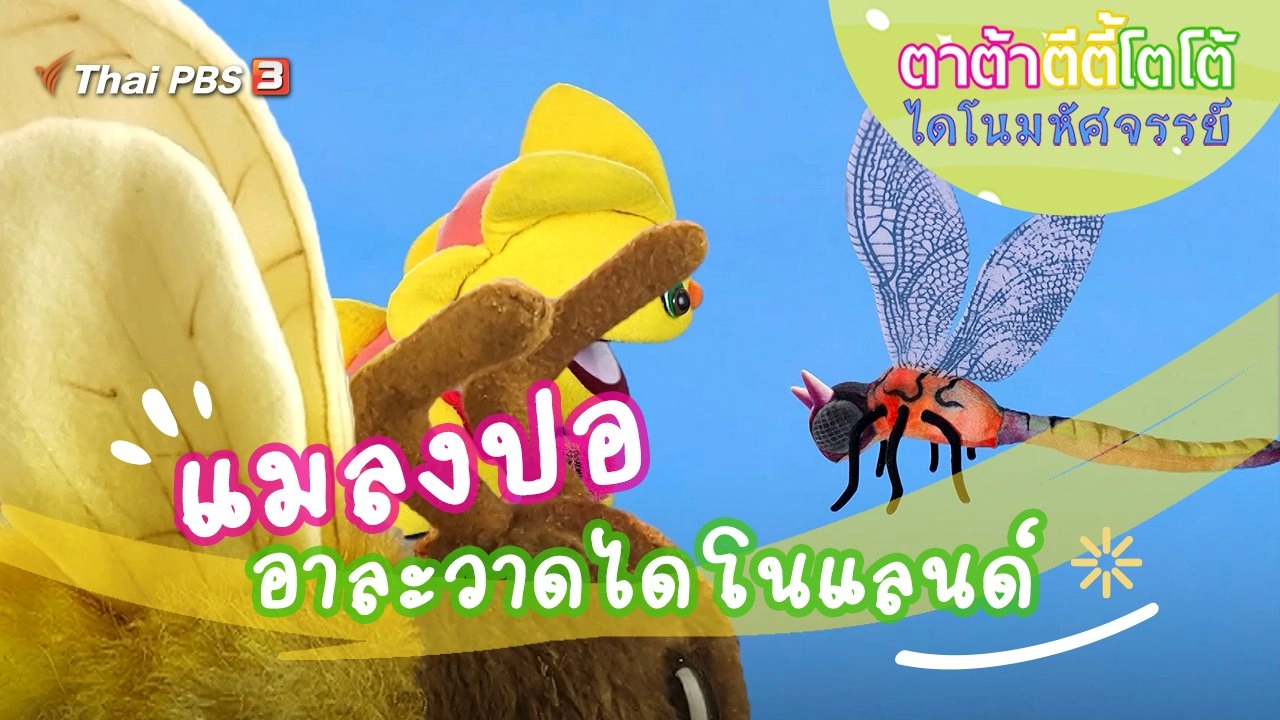 แมลงปออาละวาด