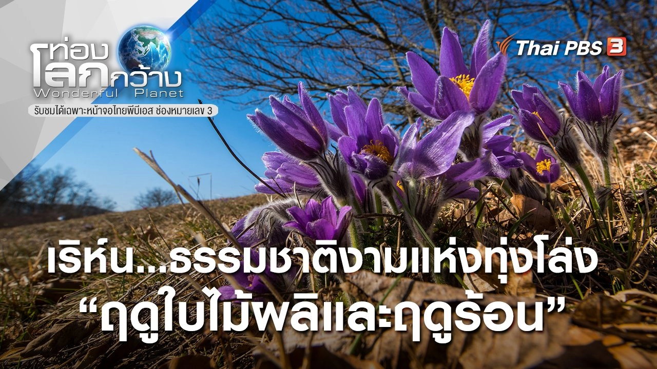 เริห์น...ธรรมชาติงามแห่งทุ่งโล่ง ตอน ฤดูใบไม้ผลิและฤดูร้อน