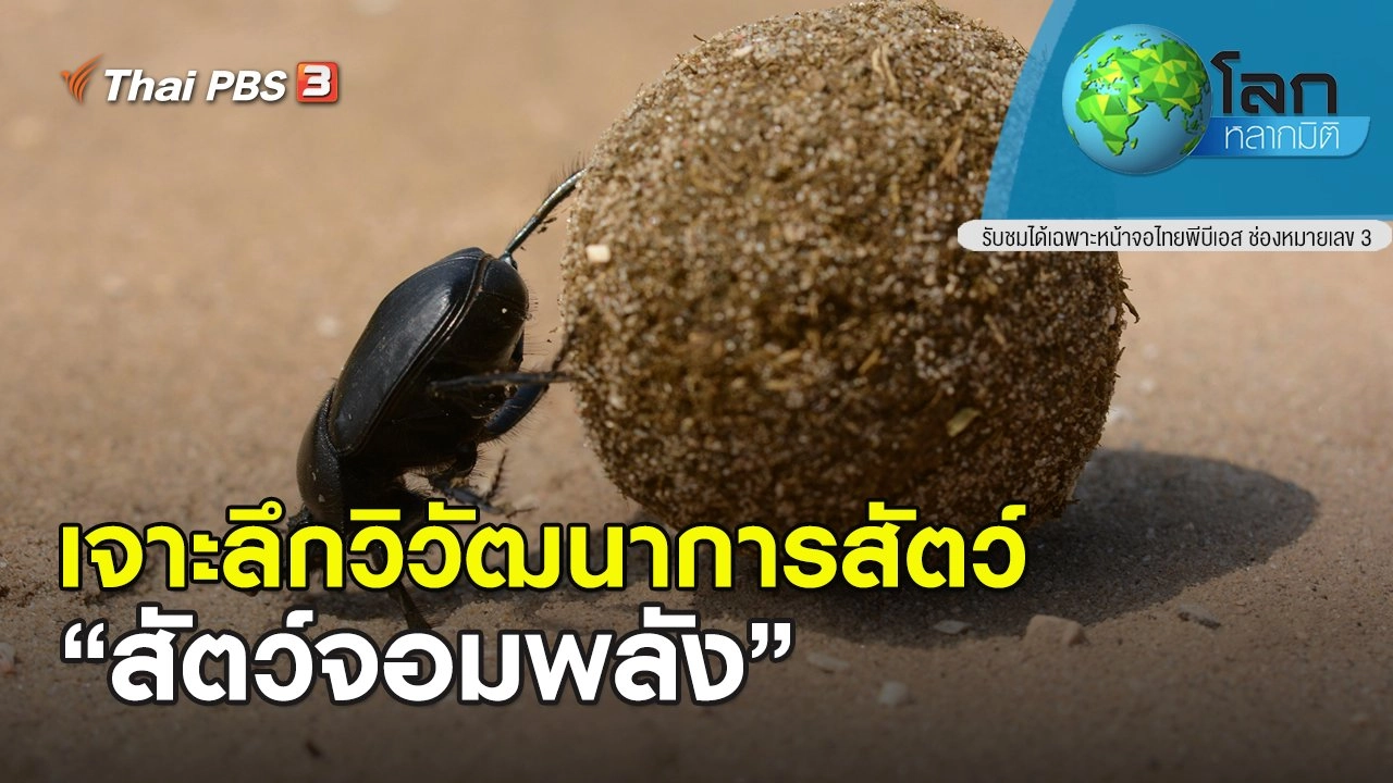 เจาะลึกวิวัฒนาการสัตว์ ตอน สัตว์จอมพลัง