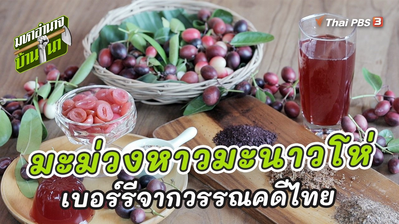 มะม่วงหาวมะนาวโห่ เบอร์รีจากวรรณคดีไทย