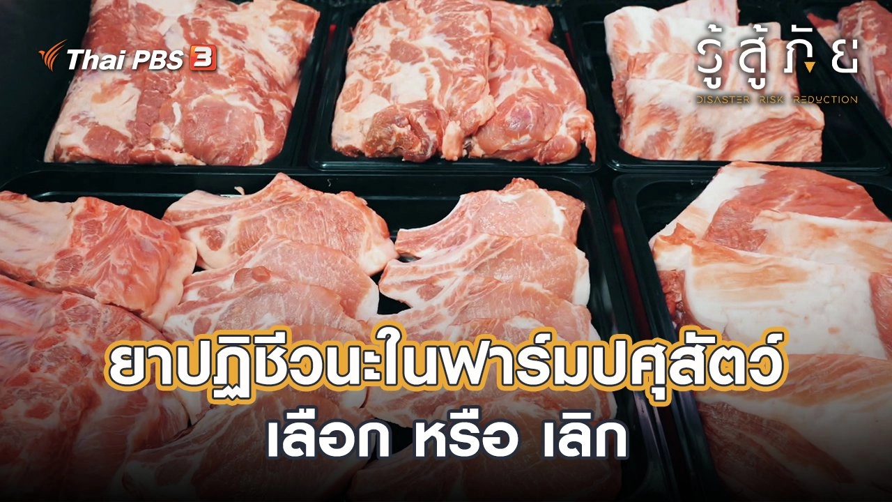 ยาปฏิชีวนะในฟาร์มปศุสัตว์ เลือก หรือ เลิก