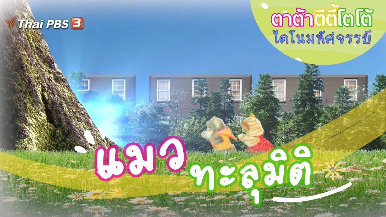 แมวทะลุมิติ