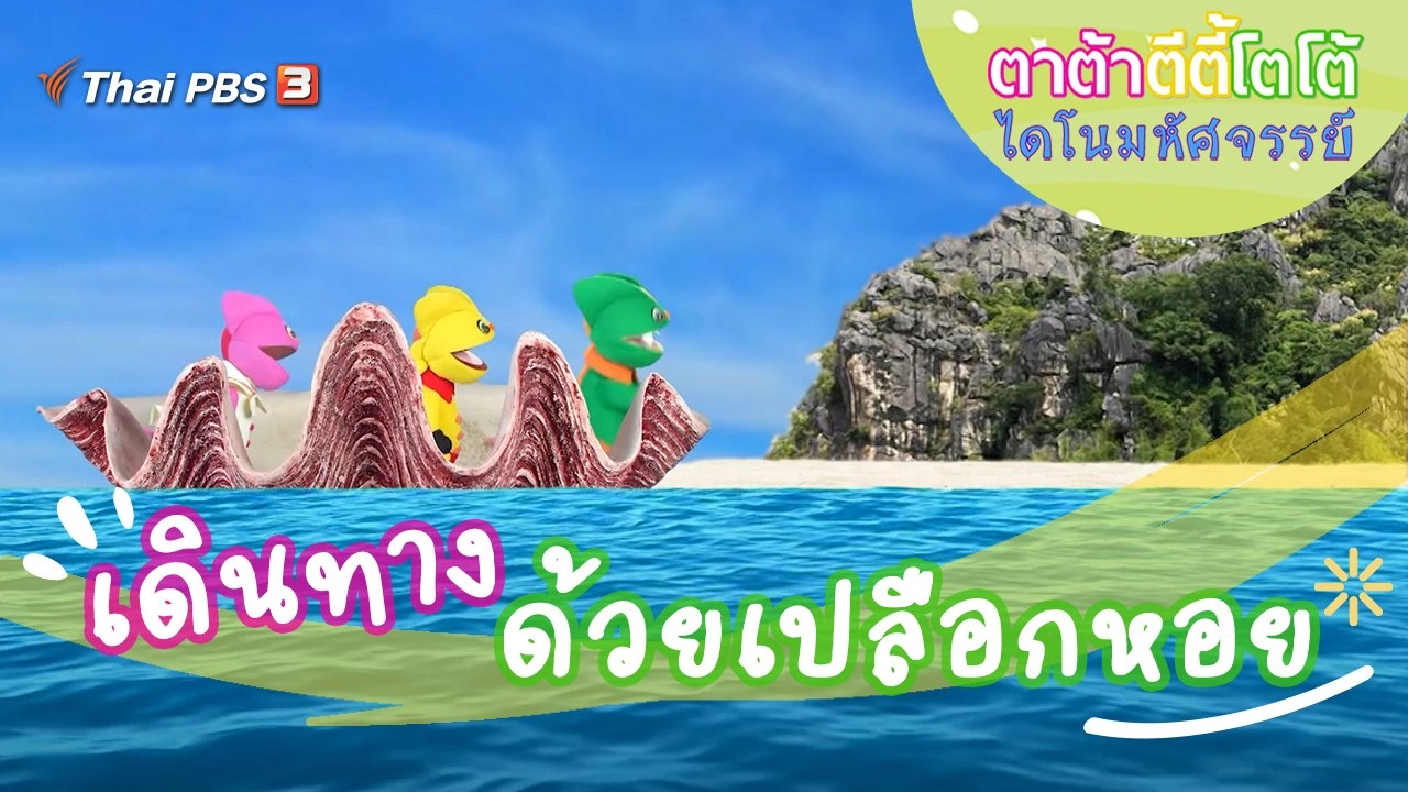 เดินทางด้วยเปลือกหอย