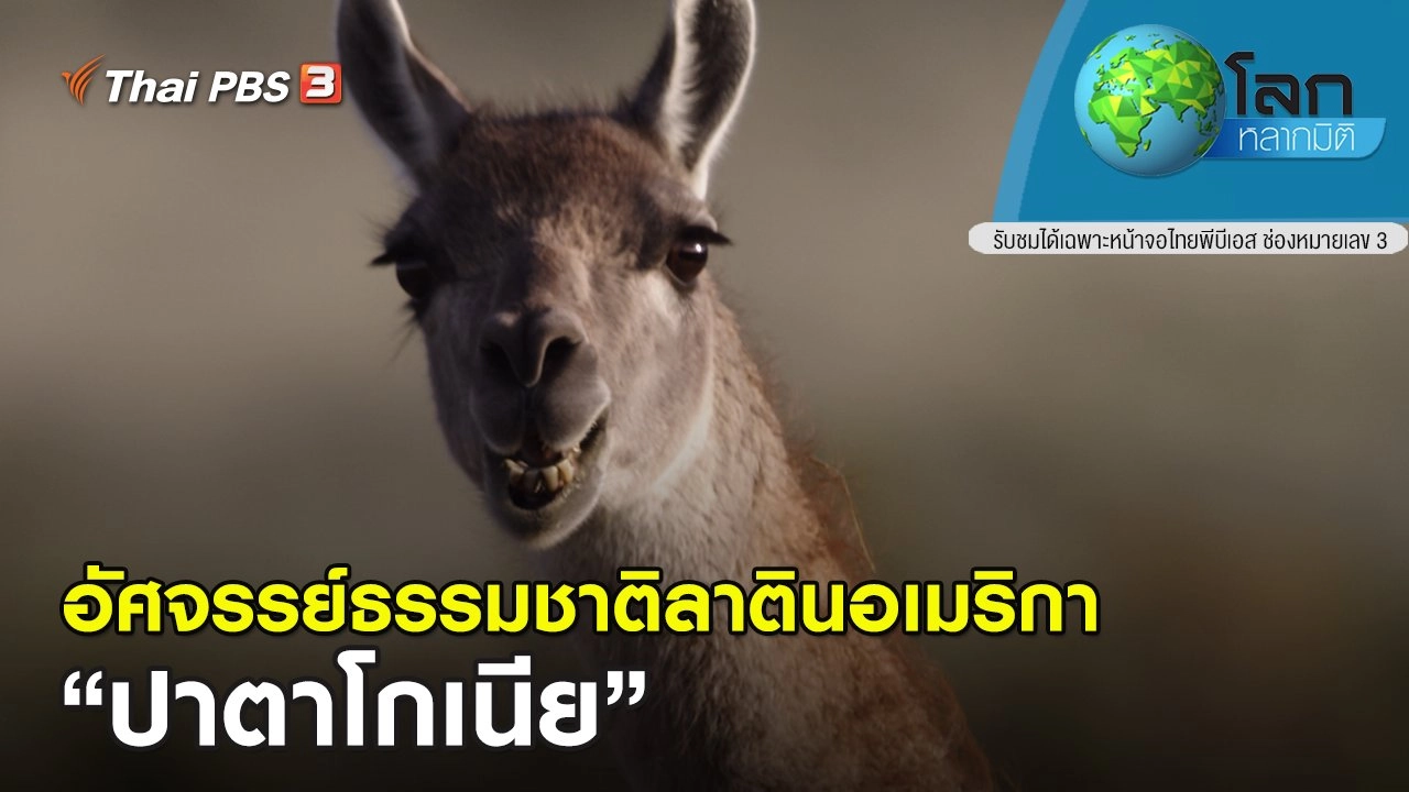 อัศจรรย์ธรรมชาติลาตินอเมริกา ตอน ปาตาโกเนีย