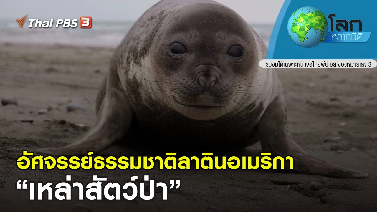 อัศจรรย์ธรรมชาติลาตินอเมริกา ตอน เหล่าสัตว์ป่า