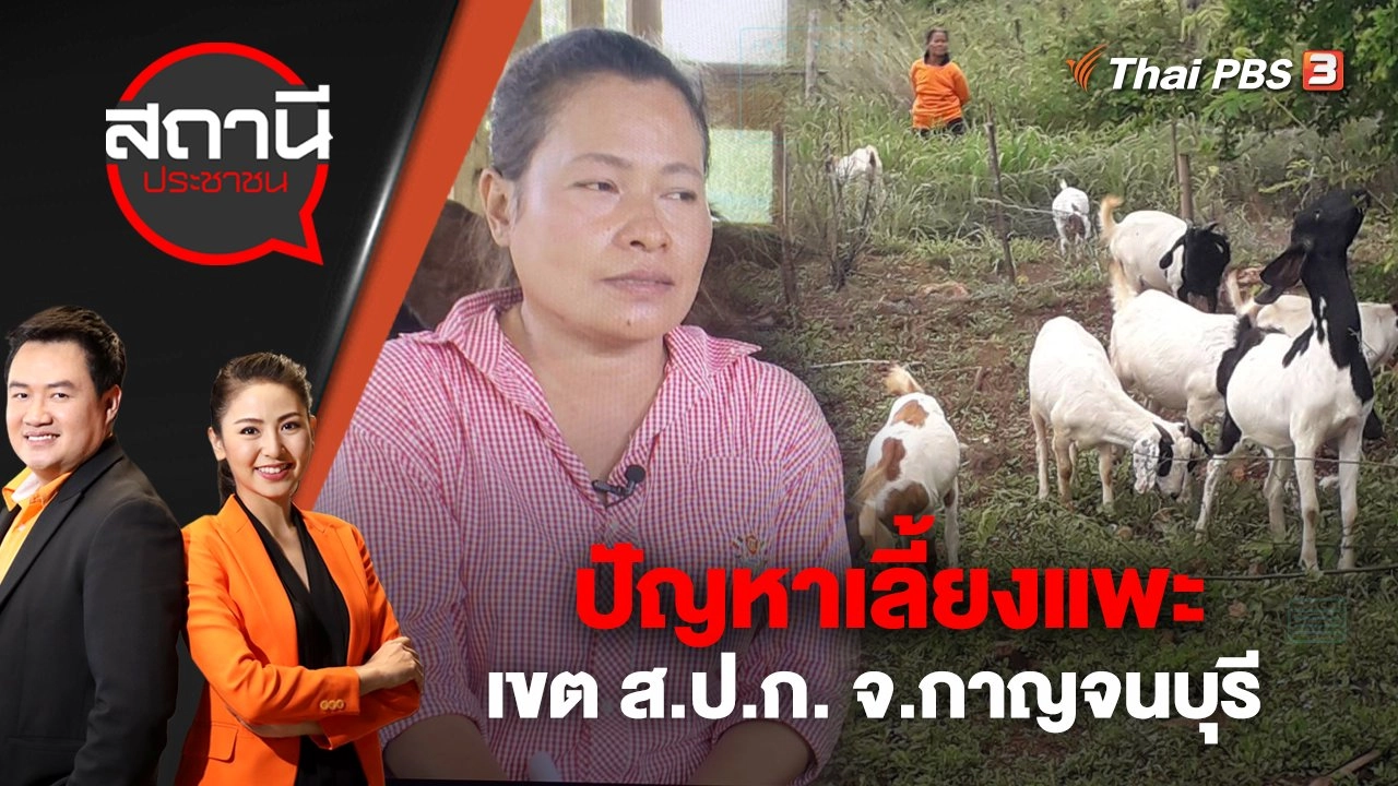 ปัญหาเลี้ยงแพะ เขต ส.ป.ก. จ.กาญจนบุรี | สถานีประชาชน | 16 ธ.ค. 65