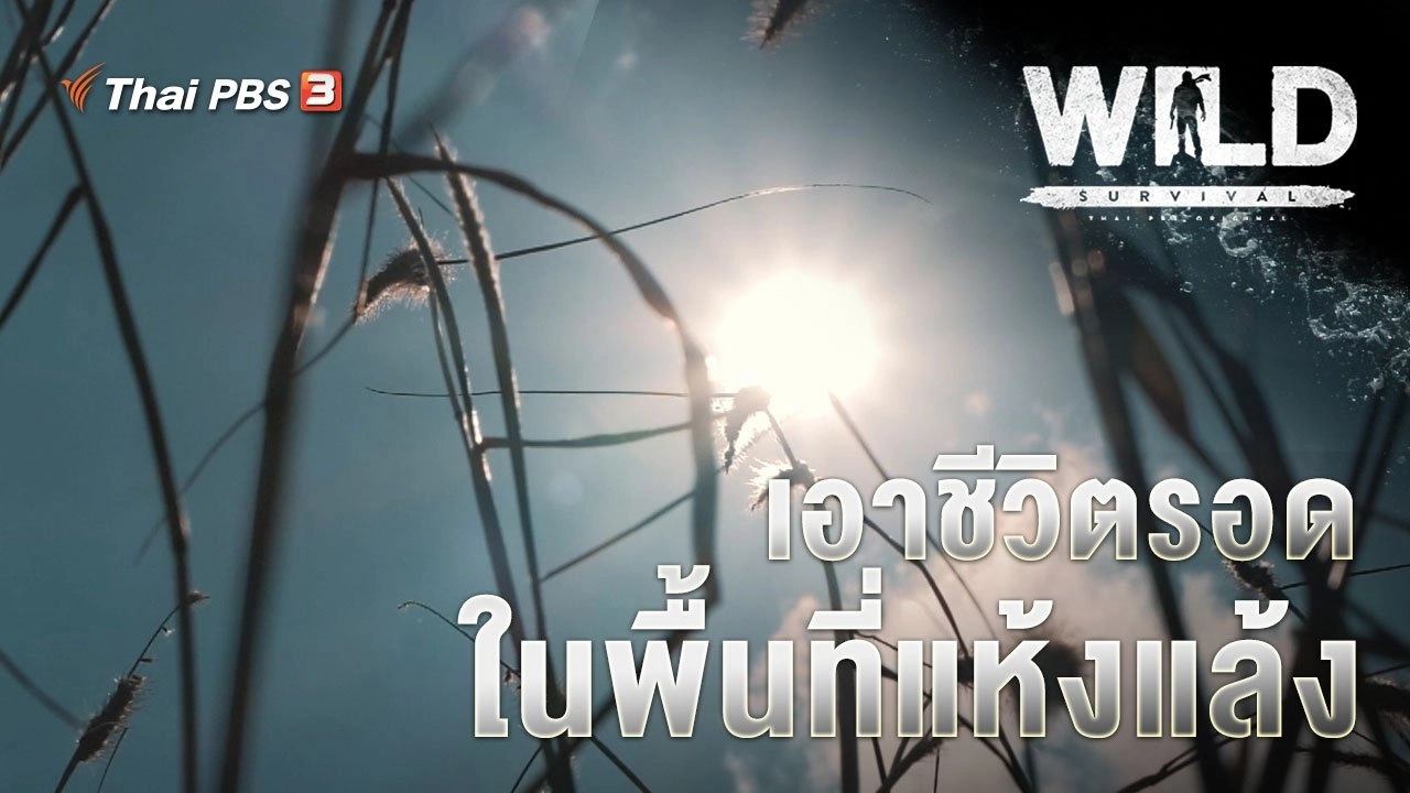 เอาชีวิตรอดในพื้นที่แห้งแล้ง