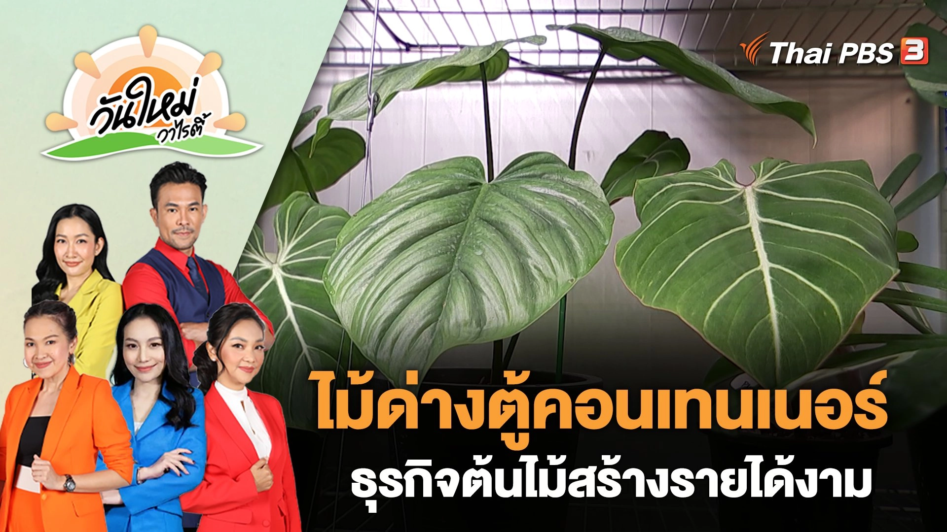 ไม้ด่างตู้คอนเทนเนอร์ ธุรกิจต้นไม้สร้างรายได้งาม | วันใหม่วาไรตี้ | 20 มี.ค. 66