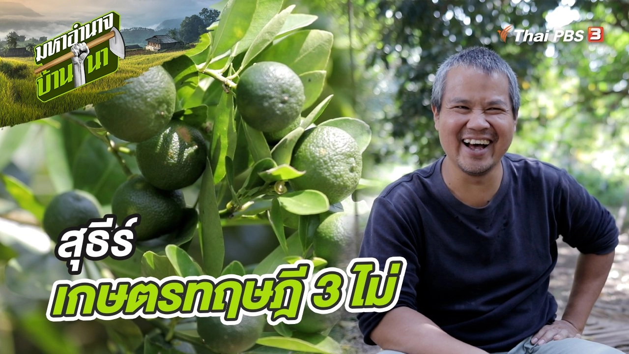 สุธีร์ เกษตรทฤษฎี 3 ไม่