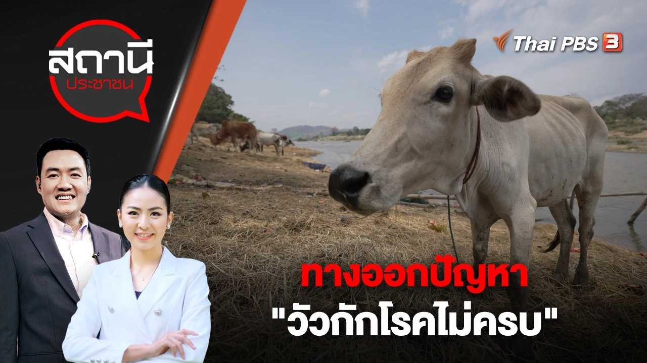 ​ทางออกปัญหา "วัวกักโรคไม่ครบ" | สถานีประชาชน | 19 เม.ย. 66
