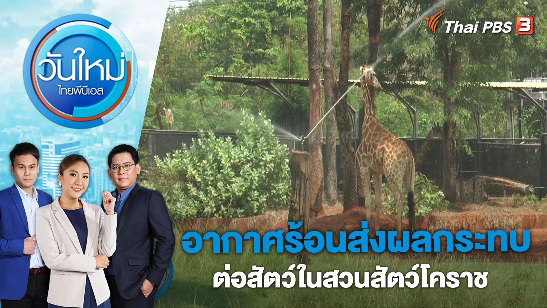 วันใหม่  ไทยพีบีเอส