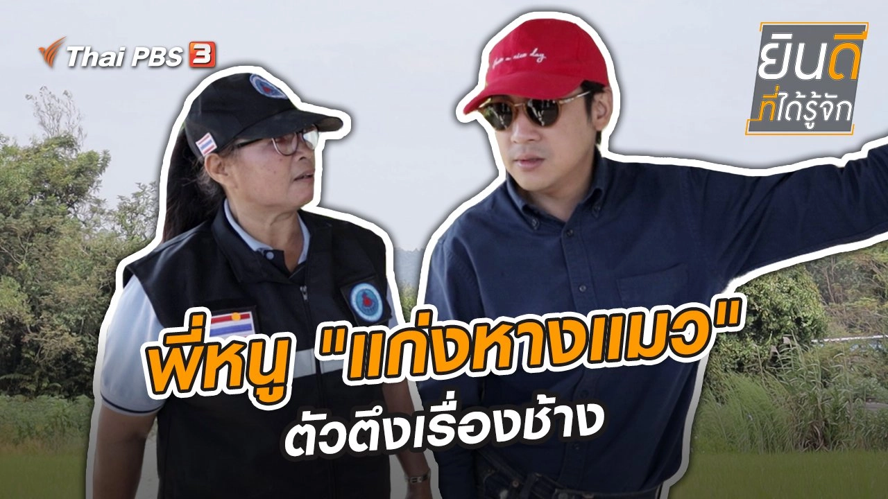 พี่หนู "แก่งหางแมว" ตัวตึงเรื่องช้าง