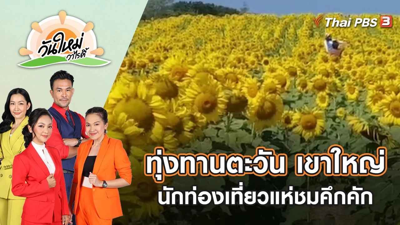 ทุ่งทานตะวัน เขาใหญ่ นักท่องเที่ยวแห่ชมคึกคัก | วันใหม่วาไรตี้ | 3 ม.ค. 66