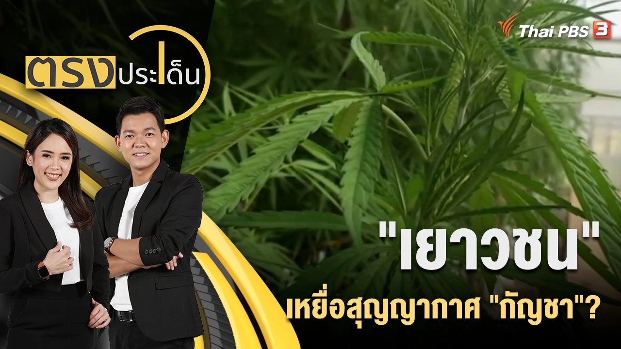 "เยาวชน" เหยื่อสุญญากาศ "กัญชา"?