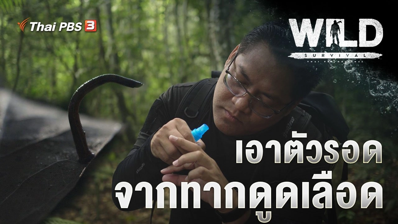 เอาตัวรอดจากทากดูดเลือด