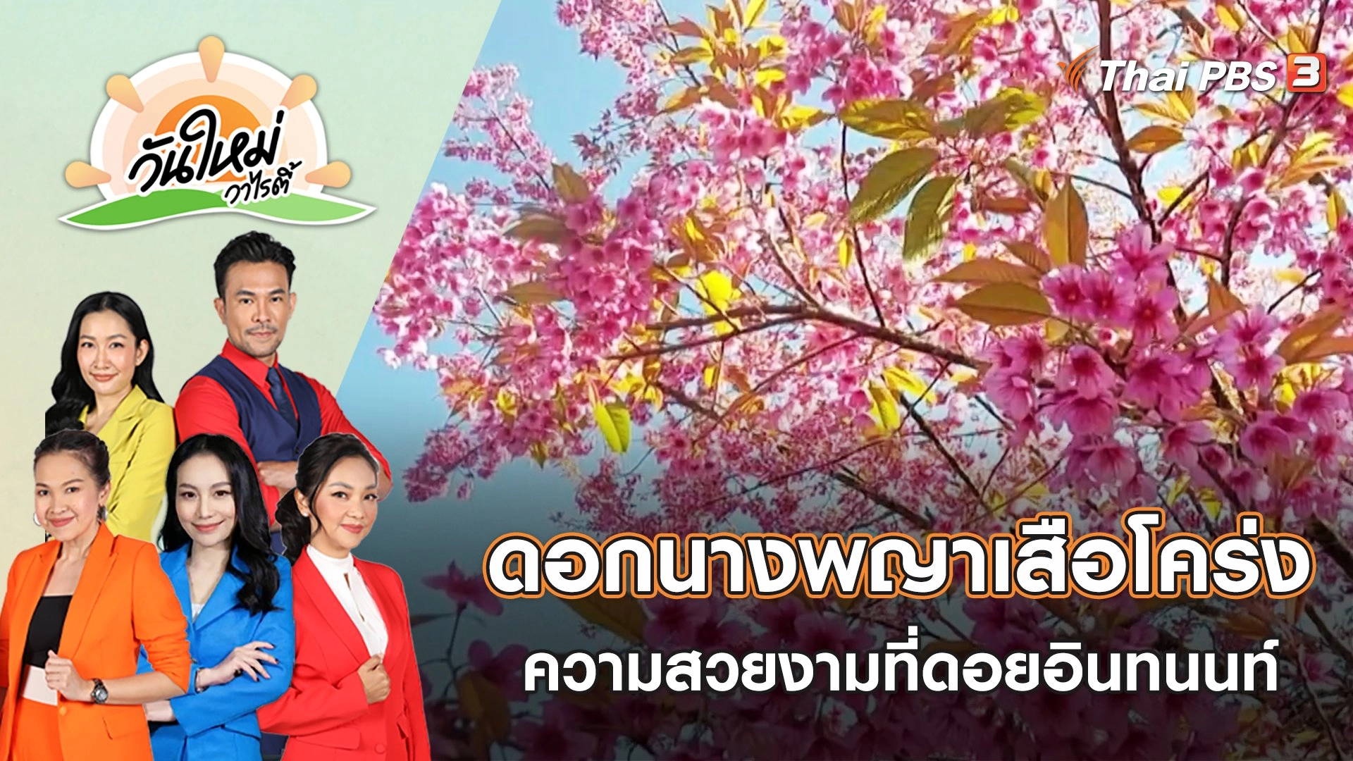 ความสวยงามดอกนางพญาเสือโคร่ง ที่ดอยอินทนนท์ | วันใหม่วาไรตี้ | 25 ม.ค. 66