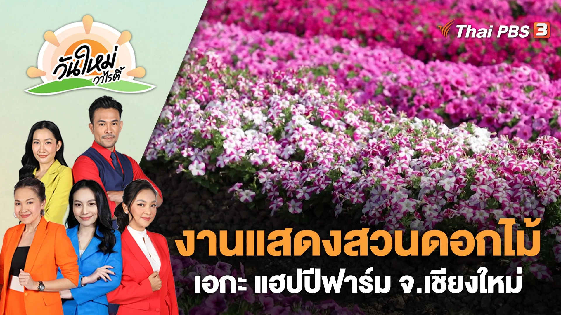 งานแสดงสวนดอกไม้ เอกะ แฮปปีฟาร์ม อ.แม่แตง จ.เชียงใหม่ | วันใหม่วาไรตี้ | 16 ก.พ. 66