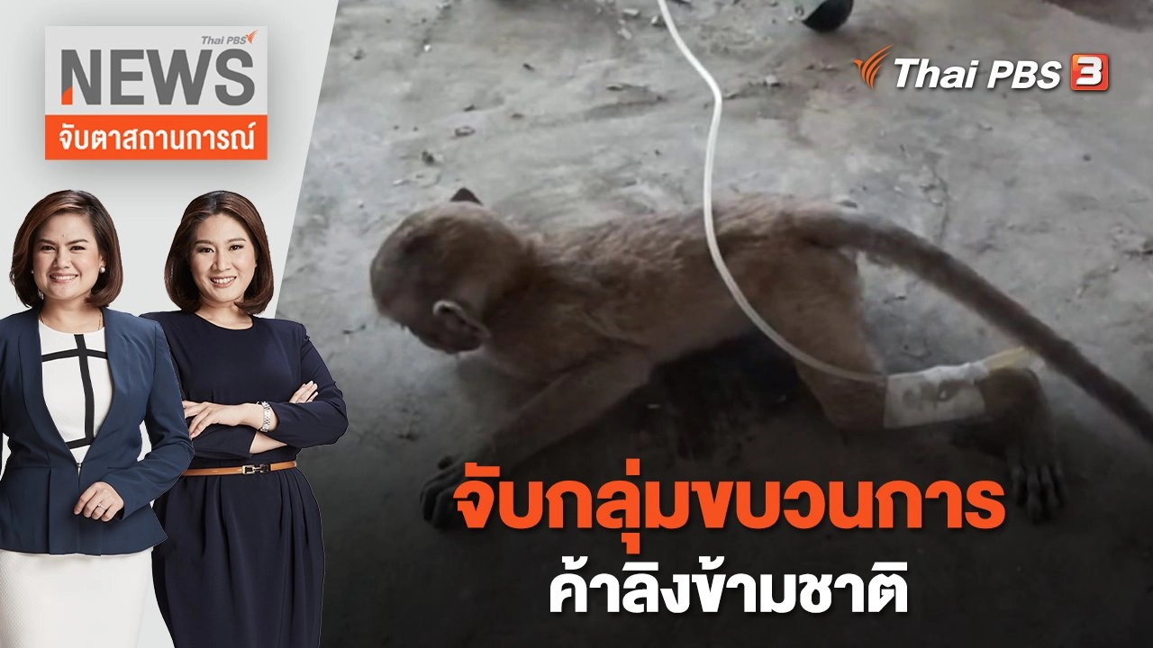 จับกลุ่มขบวนการค้าลิงข้ามชาติ | จับตาสถานการณ์ | 17 ก.พ. 66