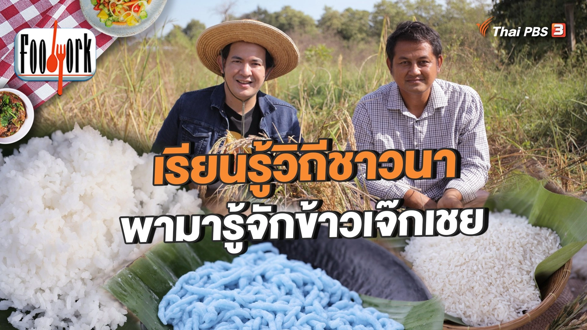 เรียนรู้วิถีชาวนา พามารู้จักข้าวเจ๊กเชย