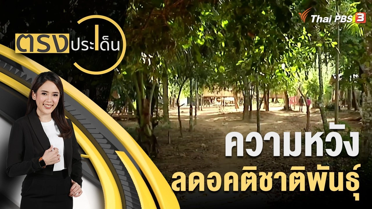 ความหวัง ลดอคติชาติพันธุ์