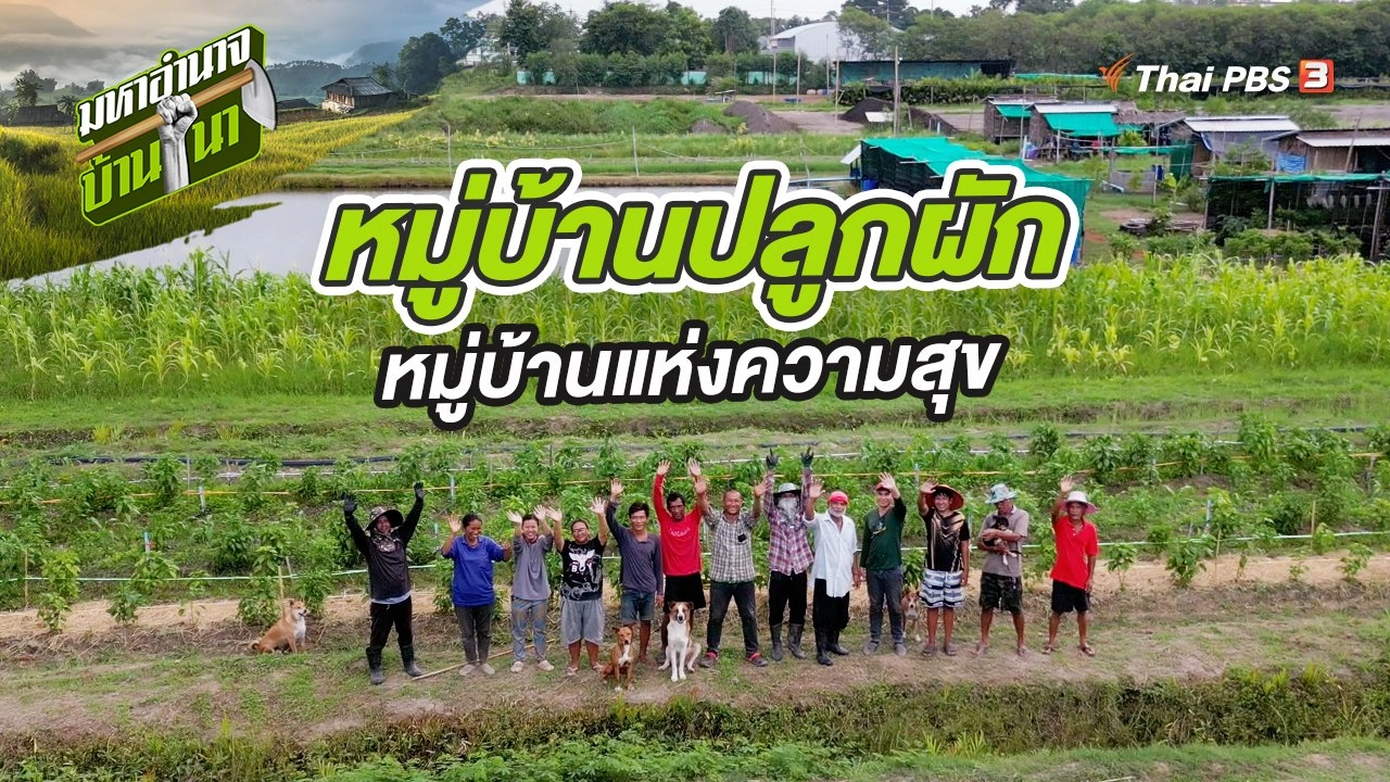 หมู่บ้านปลูกผัก หมู่บ้านแห่งความสุข