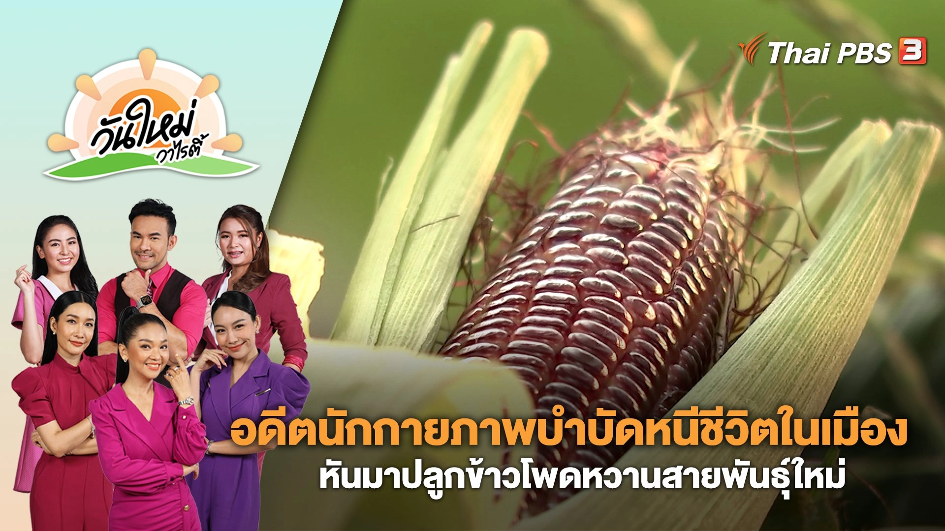 อดีตนักกายภาพบำบัดหนีชีวิตในเมือง หันมาปลูกข้าวโพดหวานสายพันธุ์ใหม่ | วันใหม่วาไรตี้ | 2 ต.ค. 66