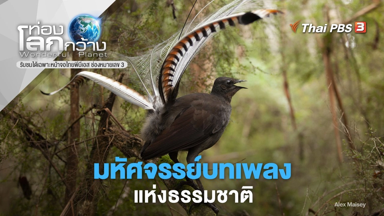 มหัศจรรย์บทเพลงแห่งธรรมชาติ