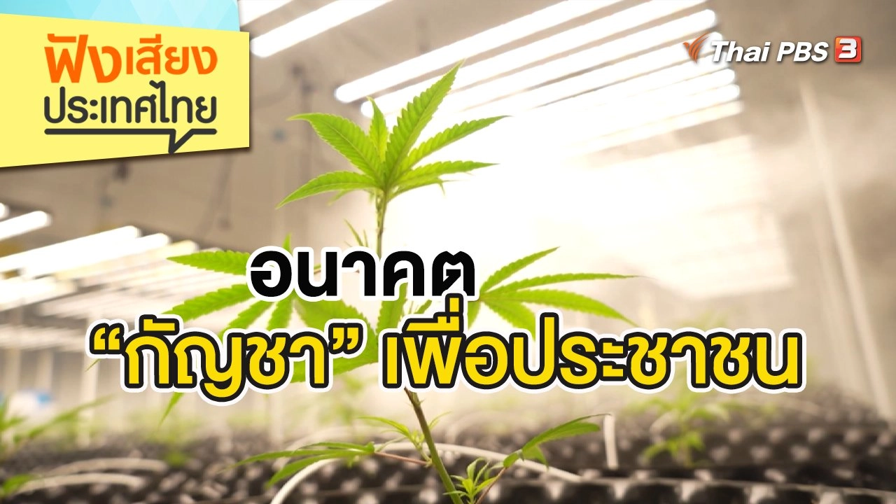 อนาคต “กัญชา” เพื่อประชาชน