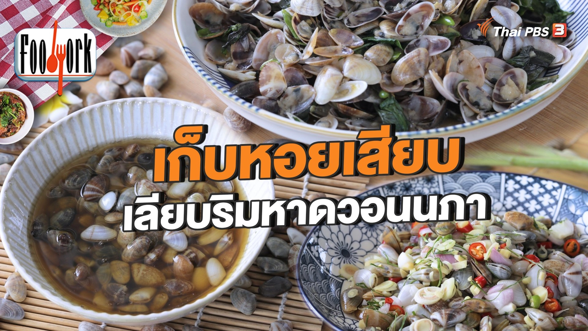 เก็บหอยเสียบ เลียบริมหาดวอนนภา