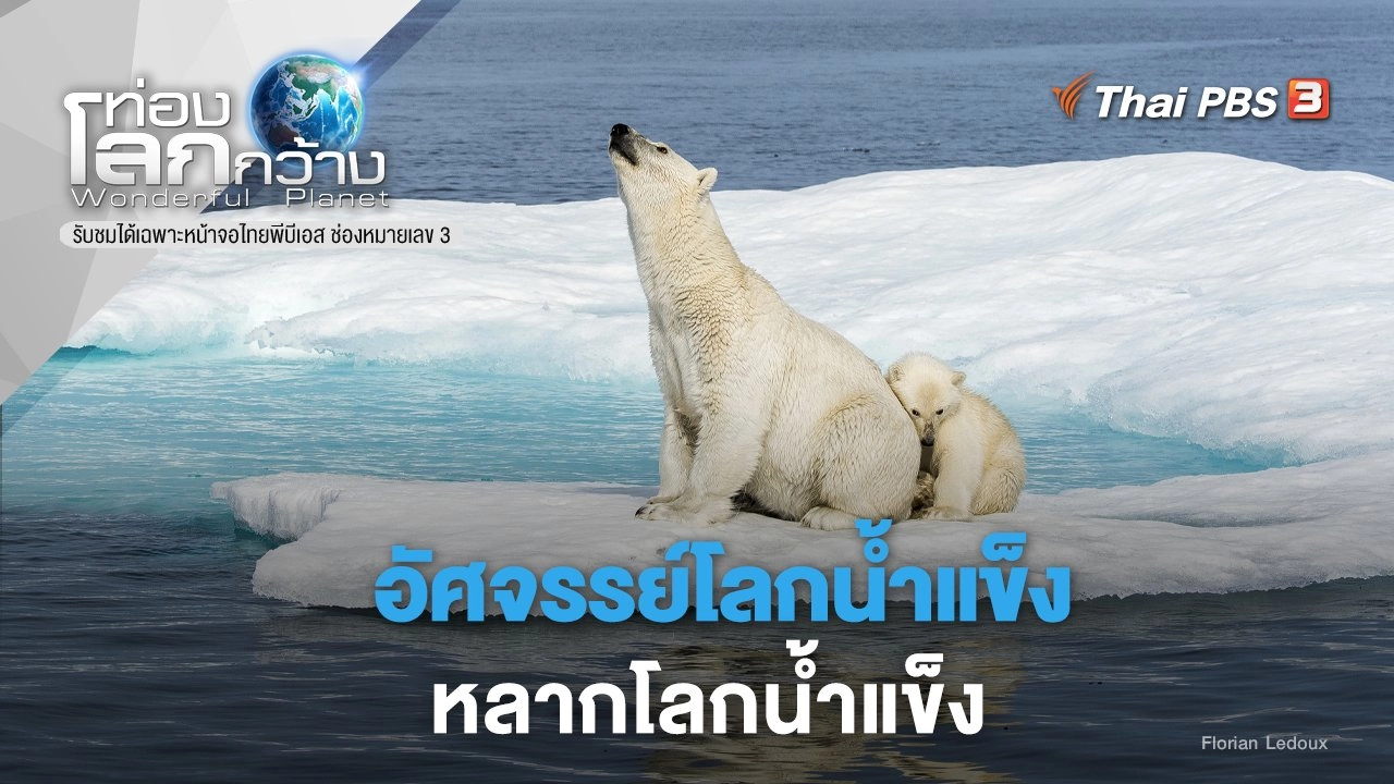 อัศจรรย์โลกน้ำแข็ง ภาค 2 ตอน หลากโลกน้ำแข็ง