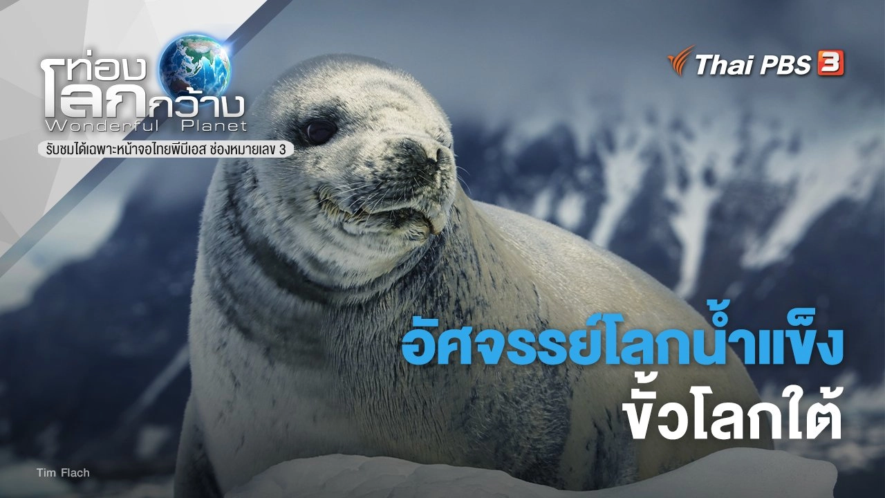 อัศจรรย์โลกน้ำแข็ง ภาค 2 ตอน ขั้วโลกใต้