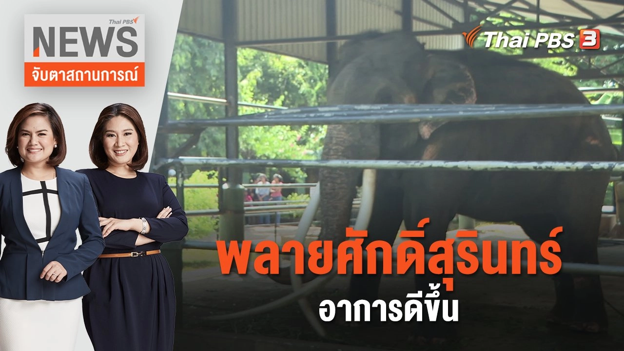 พลายศักดิ์สุรินทร์ อาการดีขึ้น | จับตาสถานการณ์ | 6 ก.ค. 66