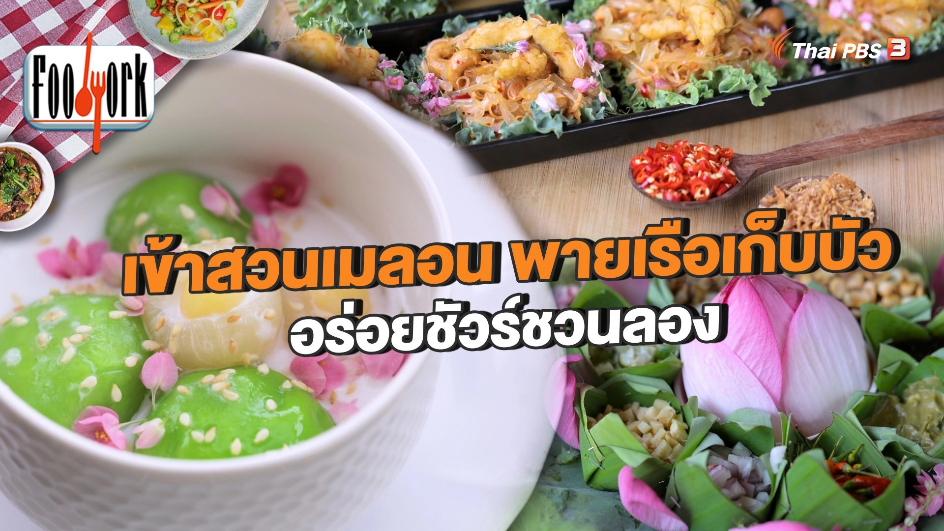 เข้าสวนเมลอน พายเรือเก็บบัว อร่อยชัวร์ชวนลอง