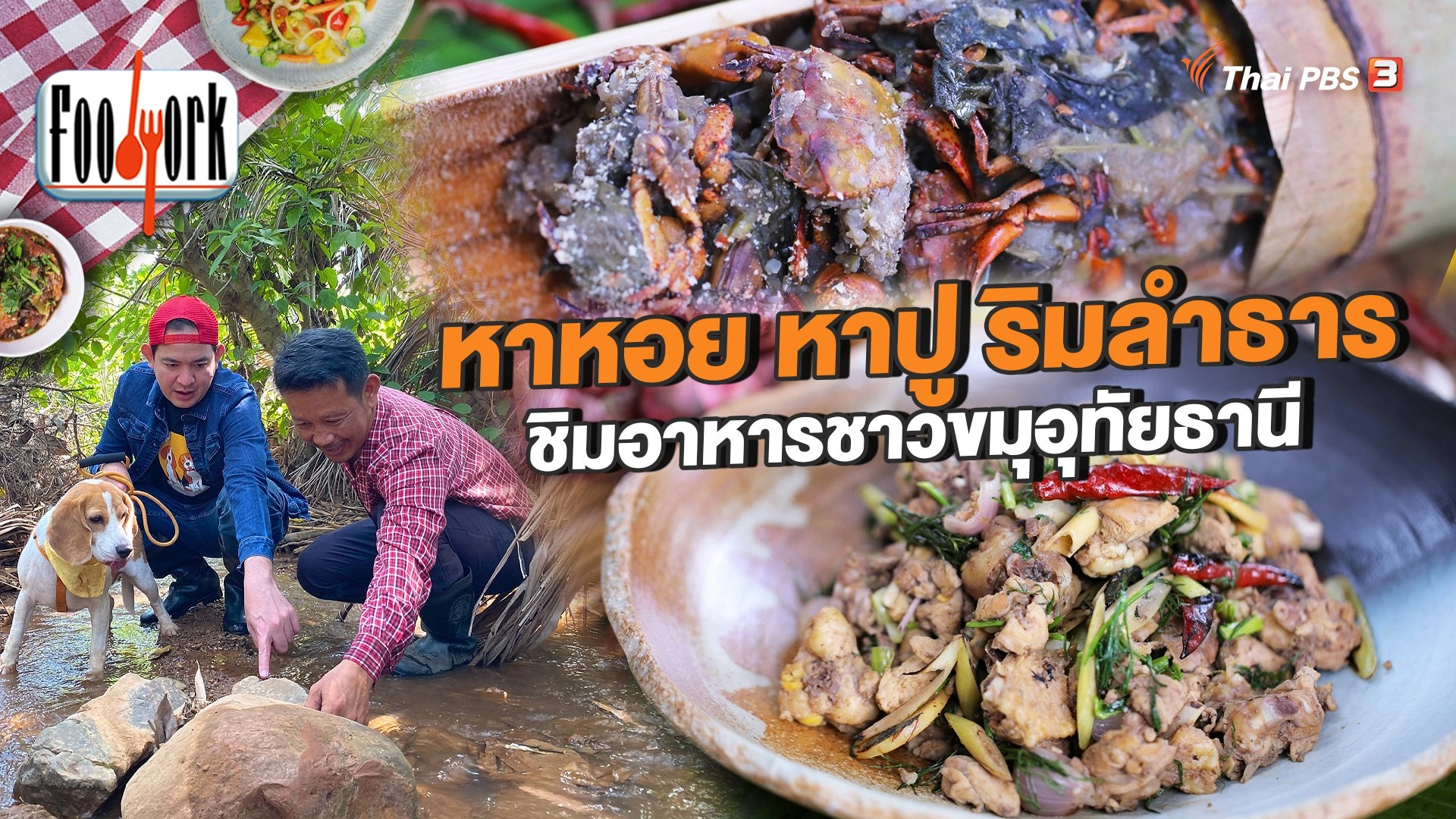 หาหอย หาปู ริมลำธาร ชิมอาหารชาวขมุอุทัยธานี
