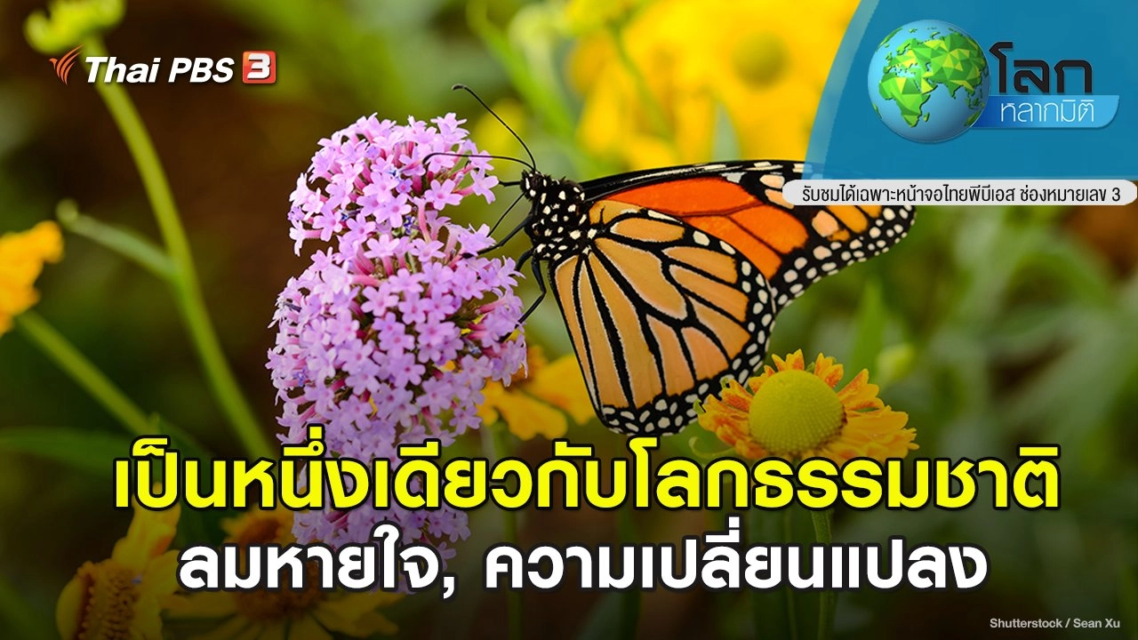 เป็นหนึ่งเดียวกับโลกธรรมชาติ ตอน ลมหายใจ, ความเปลี่ยนแปลง