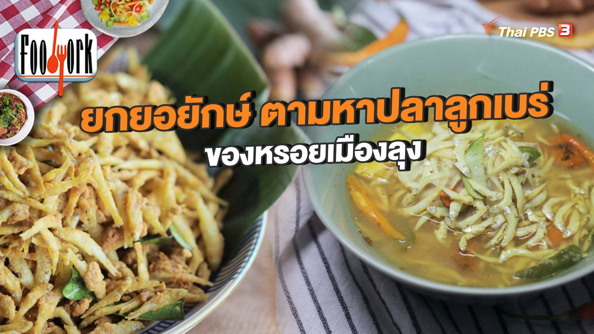 ยกยอยักษ์ ตามหาปลาลูกเบร่ ของหรอยเมืองลุง