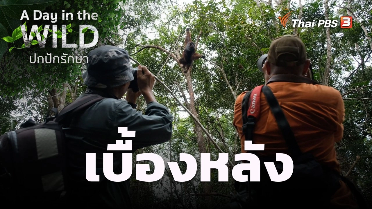 เบื้องหลัง