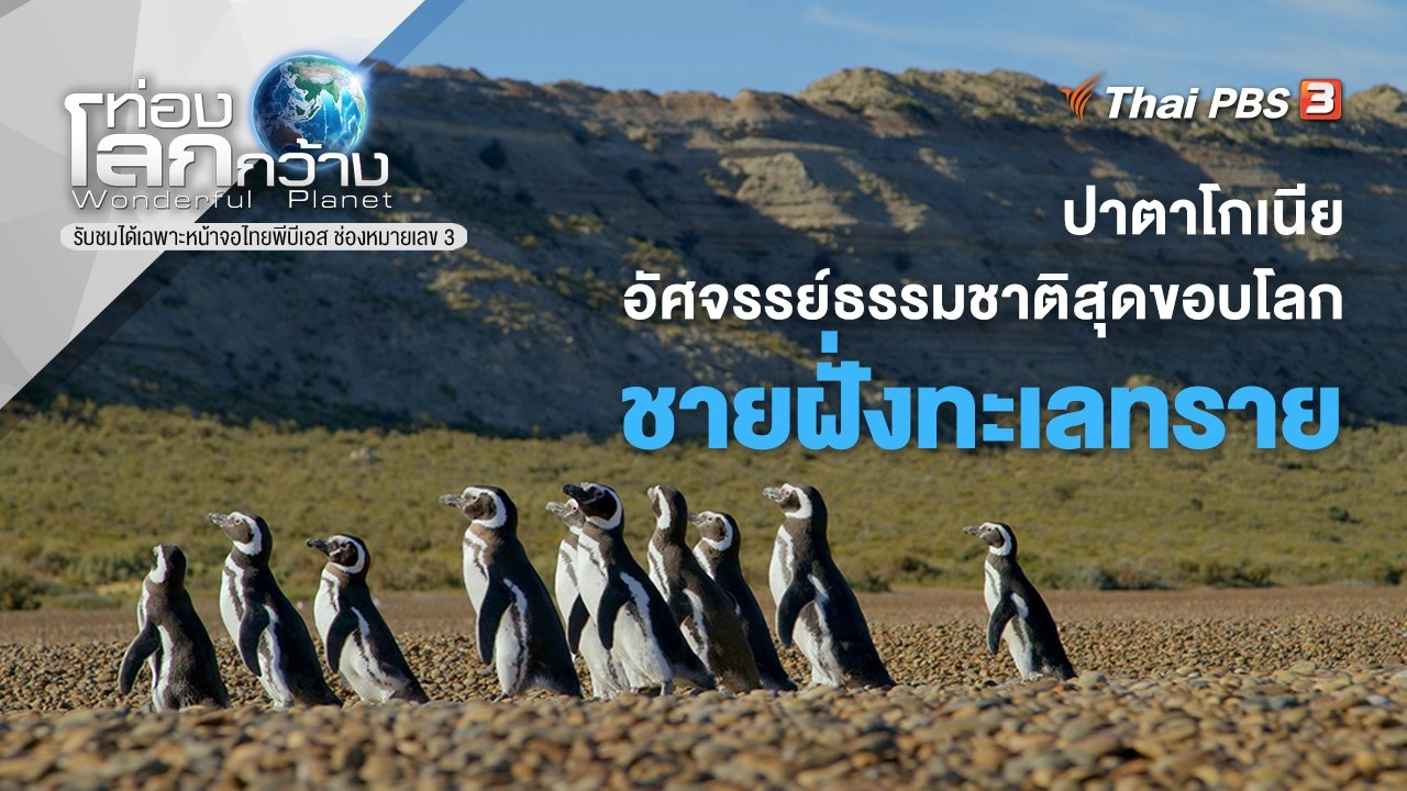 ปาตาโกเนีย...อัศจรรย์ธรรมชาติสุดขอบโลก ตอน ชายฝั่งทะเลทราย