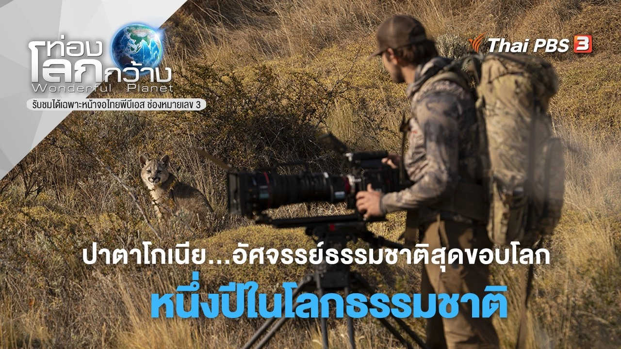 ปาตาโกเนีย… อัศจรรย์ธรรมชาติสุดขอบโลก ตอน หนึ่งปีในโลกธรรมชาติ