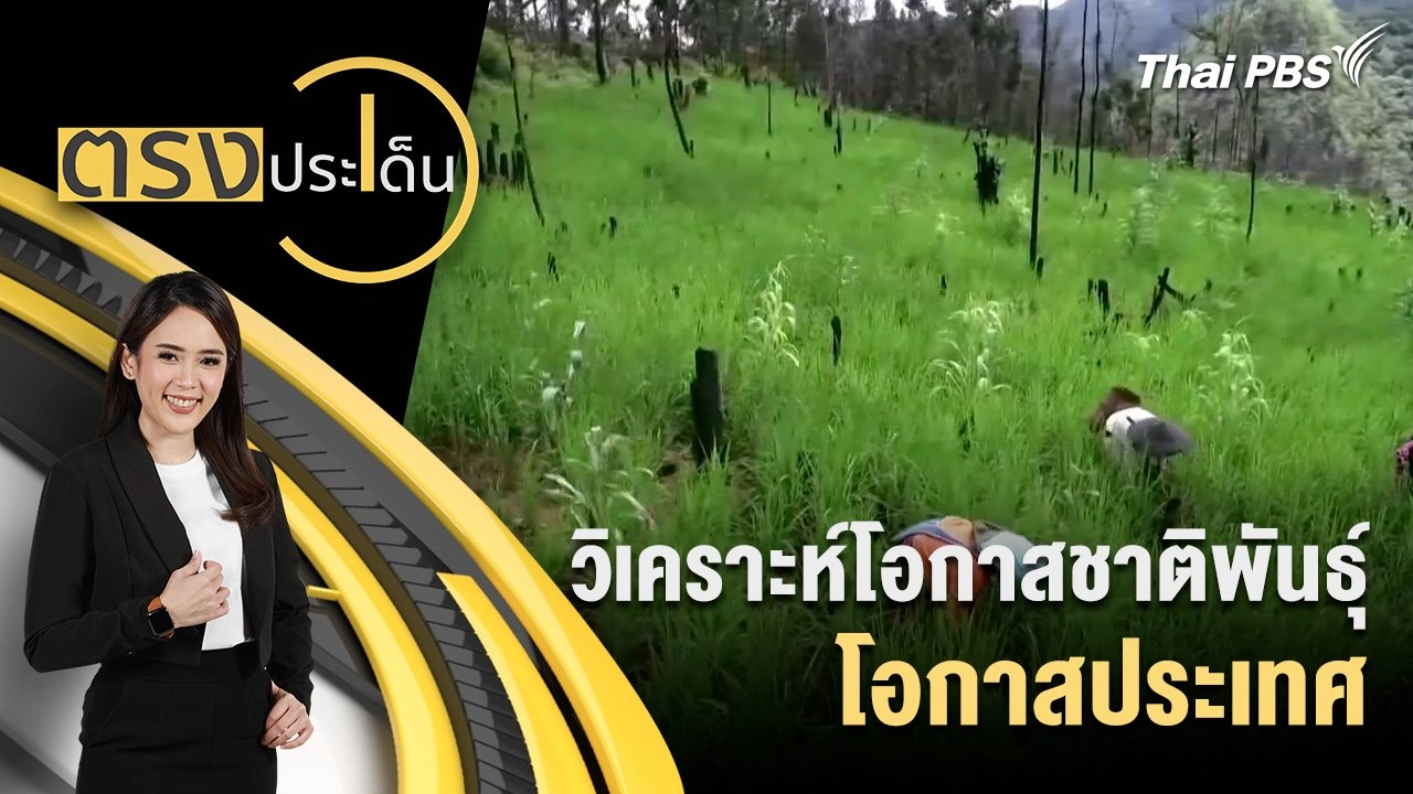 วิเคราะห์โอกาสชาติพันธุ์ โอกาสประเทศ