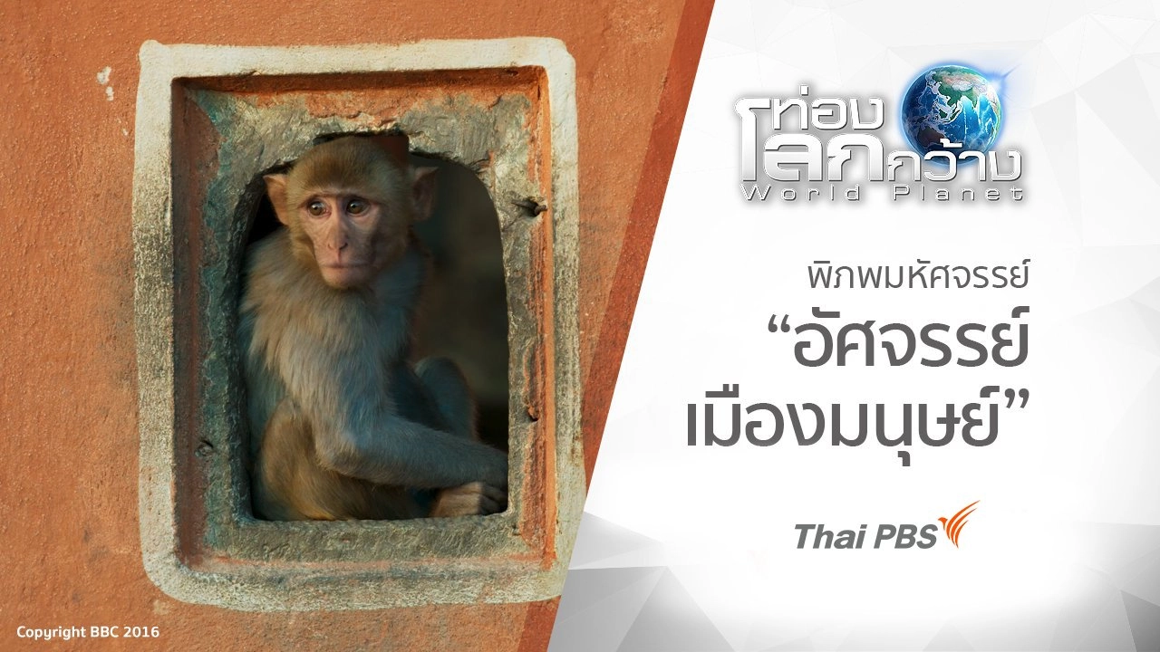 พิภพมหัศจรรย์ ตอน อัศจรรย์เมืองมนุษย์