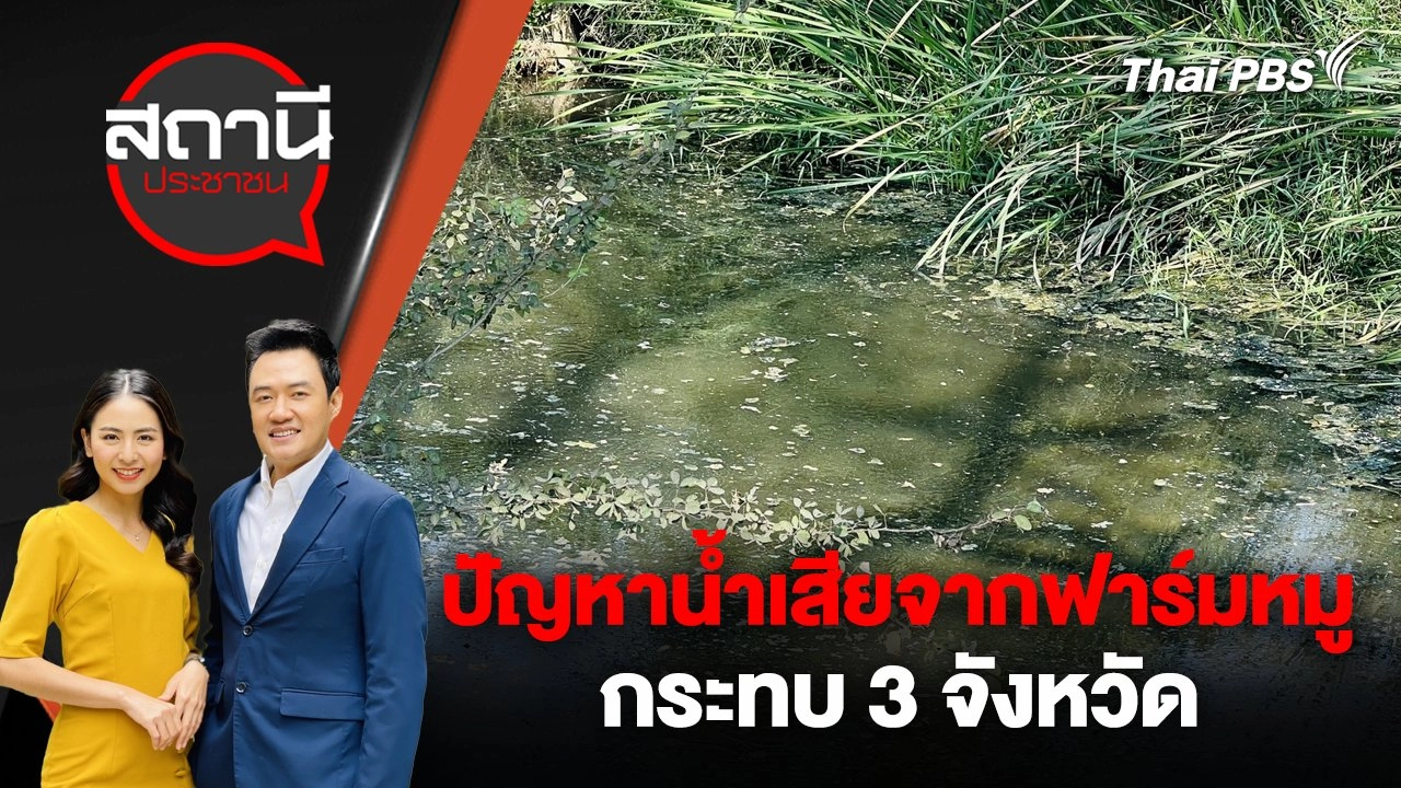 ปัญหาน้ำเสียจากฟาร์มหมูกระทบ 3 จังหวัด