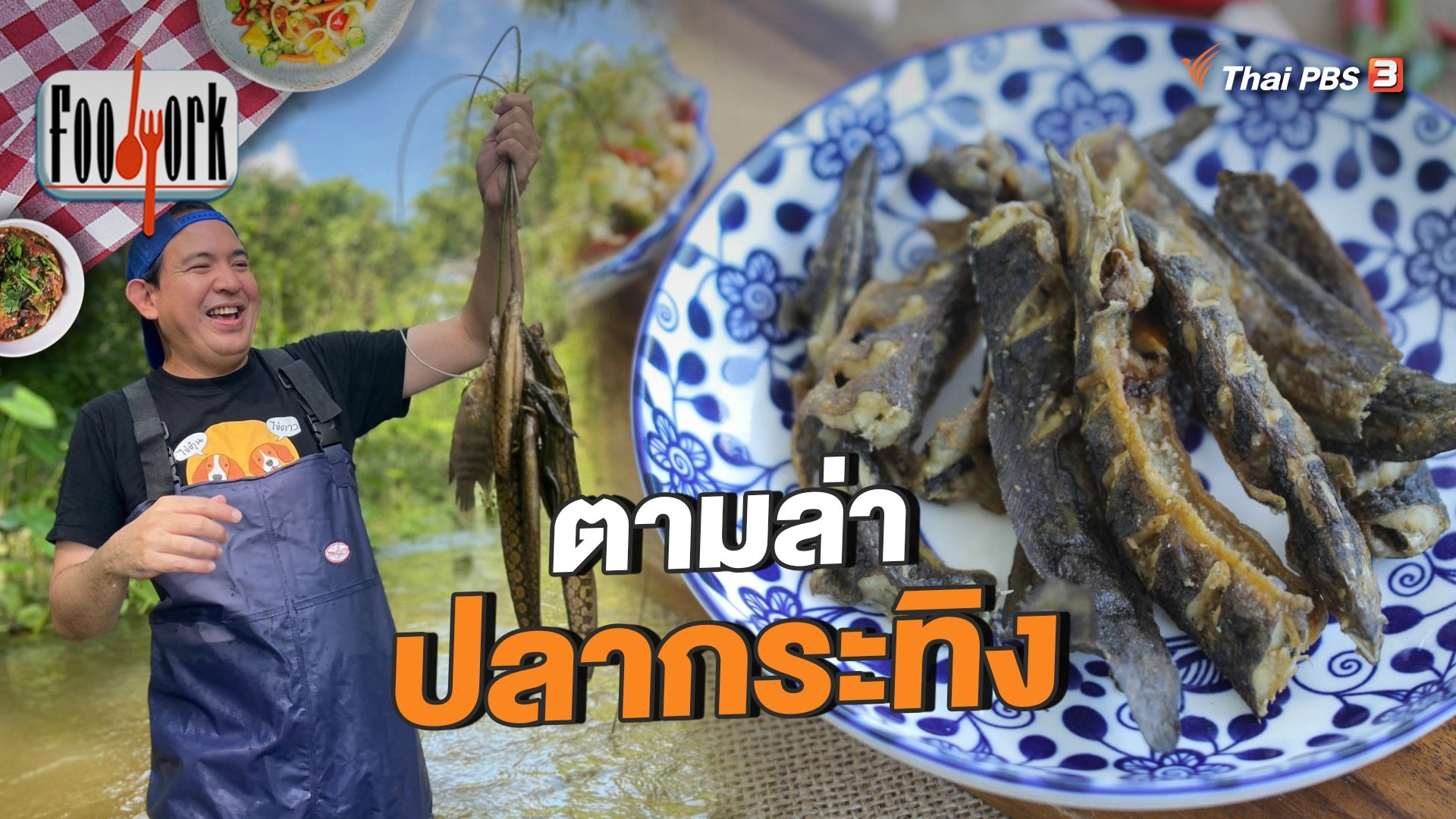 ตามล่าหาปลากระทิง