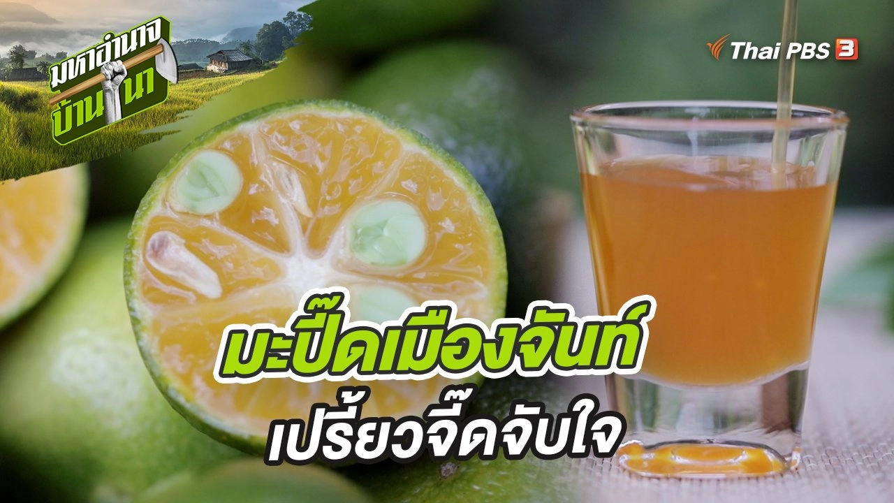 มะปี๊ดเมืองจันท์ เปรี้ยวจี๊ดจับใจ