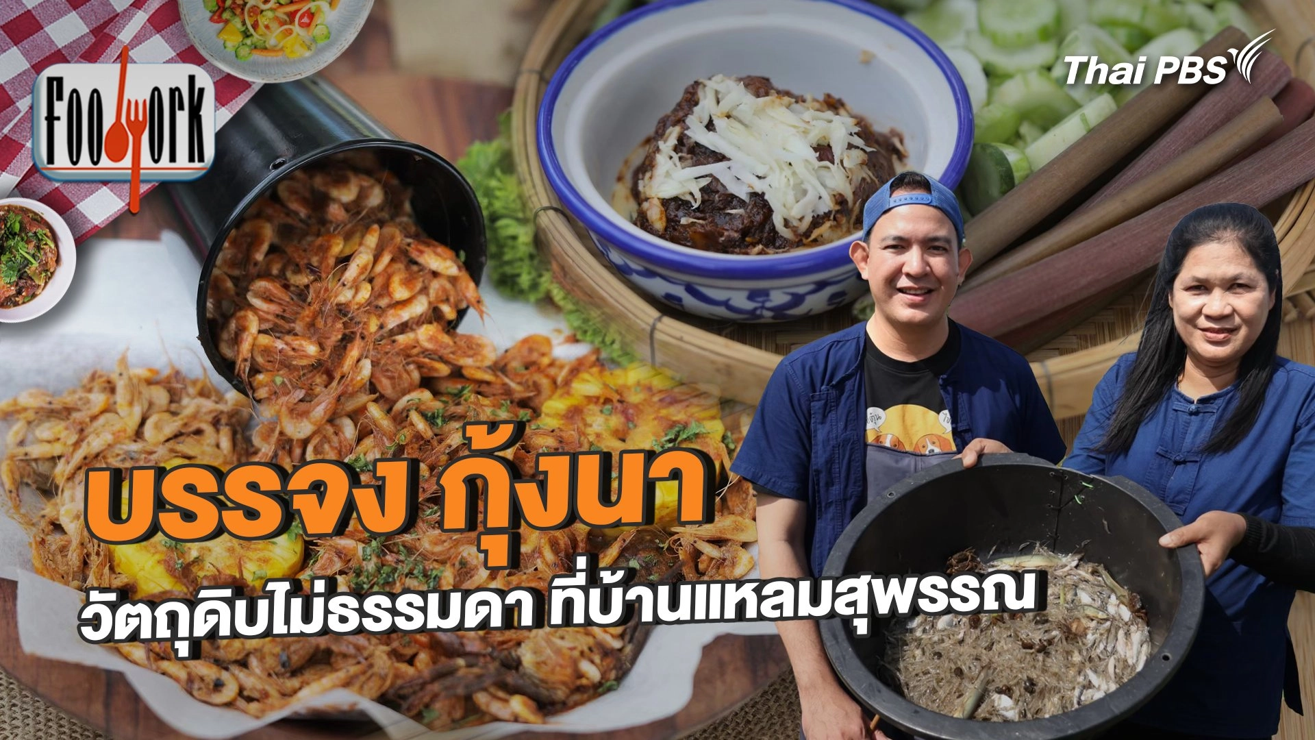 บรรจง กุ้งนา วัตถุดิบไม่ธรรมดา ที่บ้านแหลมสุพรรณ