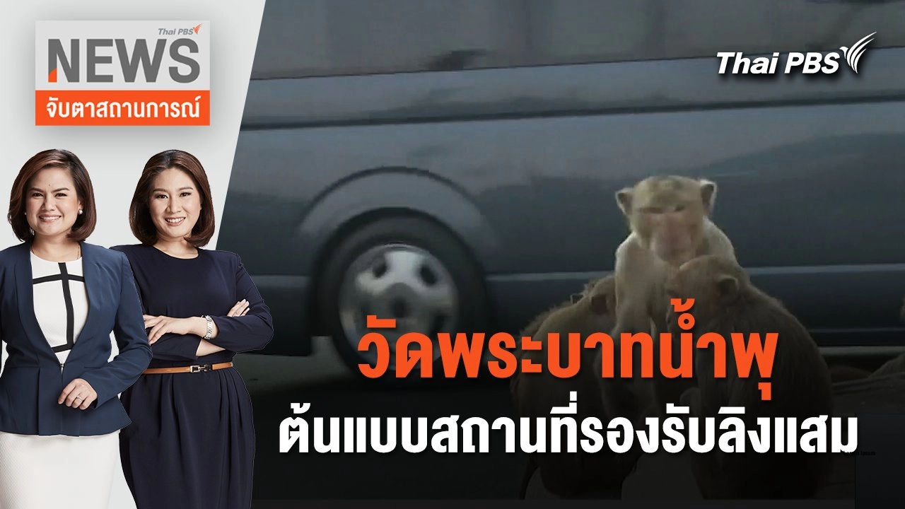 วัดพระบาทน้ำพุ ต้นแบบสถานที่รองรับลิงแสม | จับตาสถานการณ์ | 9 ก.พ. 67