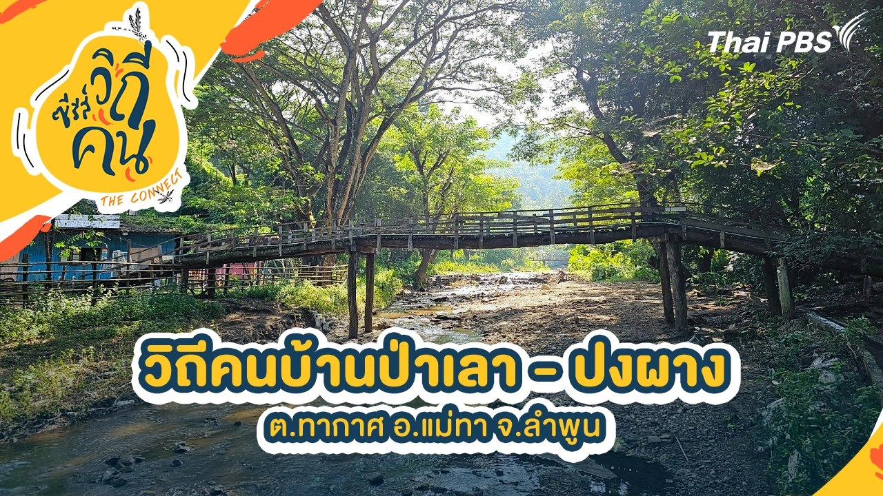วิถีคนบ้านป่าเลา - ปงผาง ต.ทากาศ อ.แม่ทา จ.ลำพูน