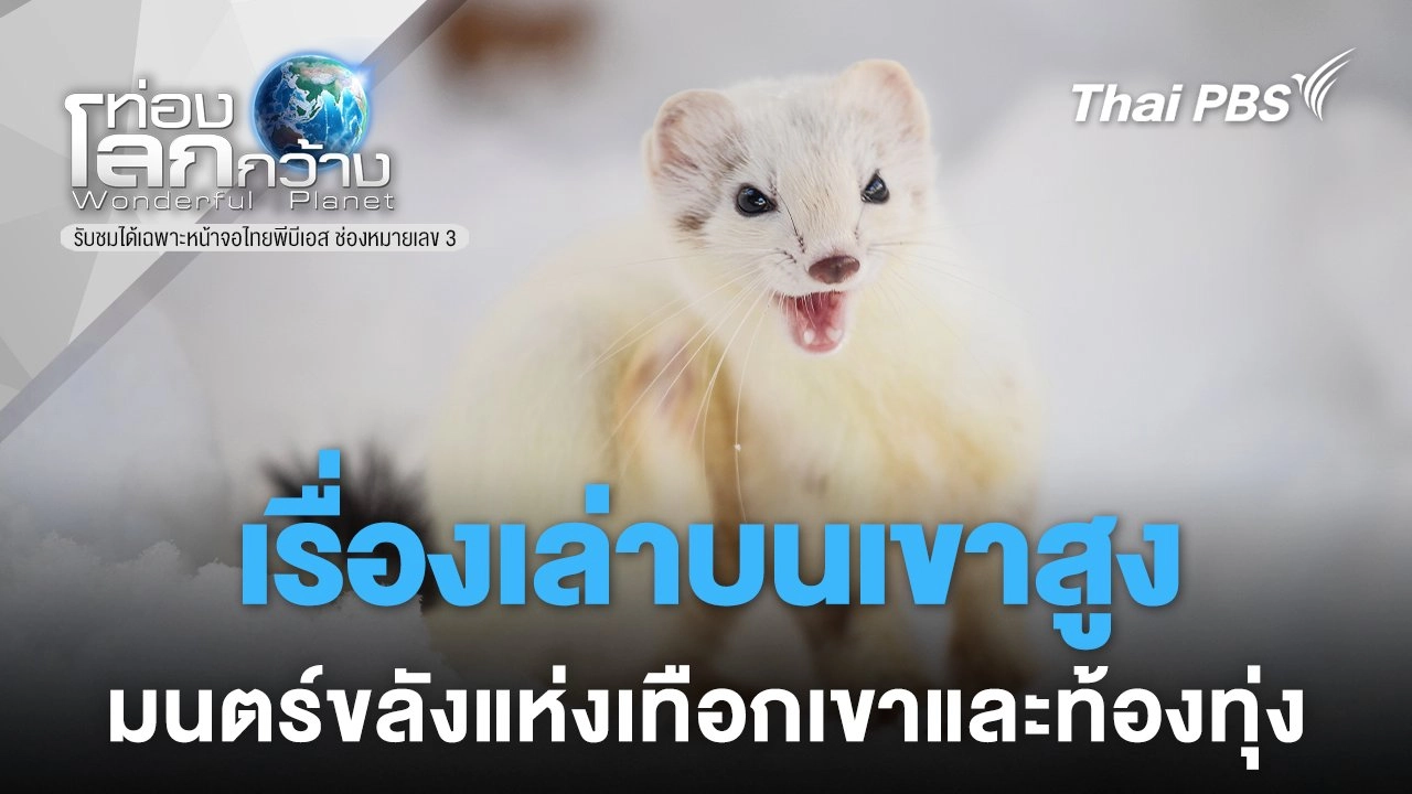 เรื่องเล่าบนเขาสูง  มนตร์ขลังแห่งเทือกเขาและท้องทุ่ง
